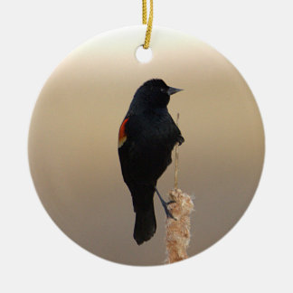 Ornamento De Cerâmica Red-winged Blackbird Ornament