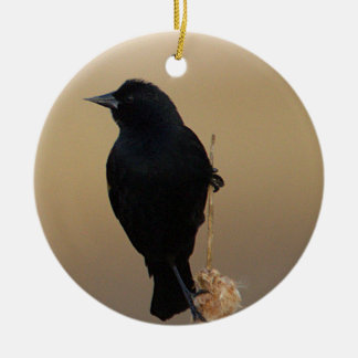 Ornamento De Cerâmica Red-winged Blackbird Ornament