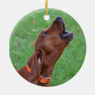 Ornamento De Cerâmica Redbone Coonhound
