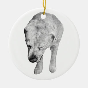 Ornamento De Cerâmica Relíquia Sombreada, Lembrança do Labrador