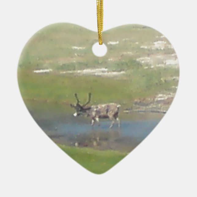 Ornamento De Cerâmica Renas nos verões (Frente)