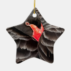 Ornamento De Cerâmica Restauração do cisne negro