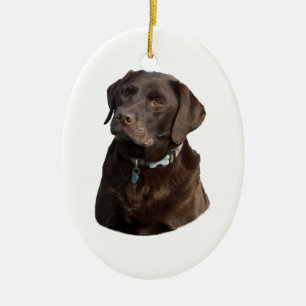 Ornamento De Cerâmica Retrato da foto do cão de Labrador do chocolate
