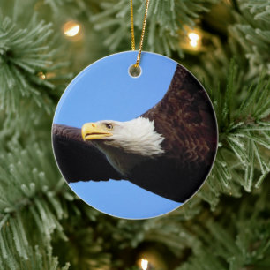 Ornamento De Cerâmica Retrato de Águia Cálida