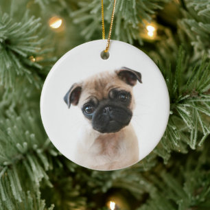 Ornamento De Cerâmica Retrato de Baby Pug