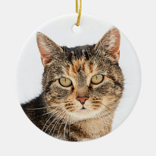 Ornamento De Cerâmica Retrato de um gato