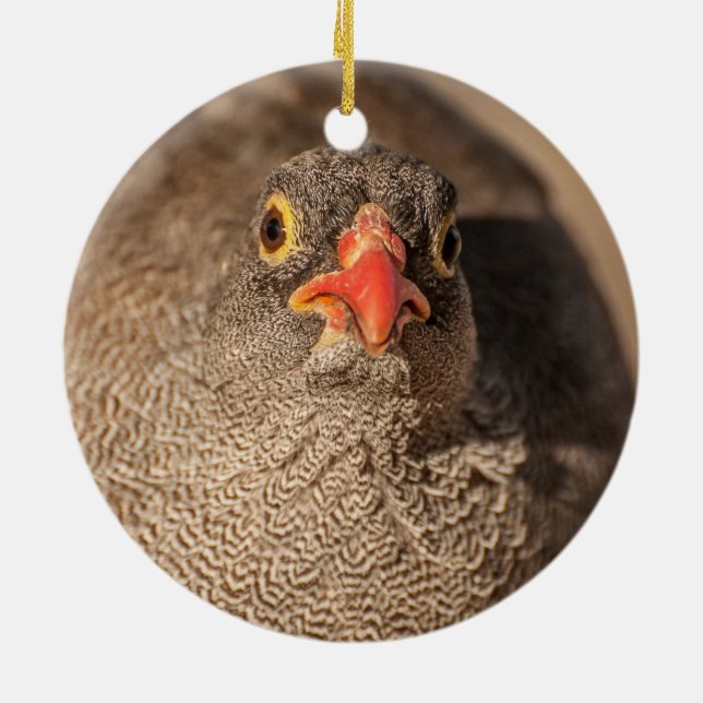Ornamento De Cerâmica Retrato de uma Galinha-d'água (Traseira)