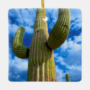 Ornamento De Cerâmica Retrato do cacto Saguaro, Arizona