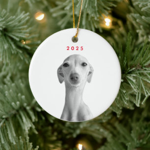 Ornamento De Cerâmica Retrato Personalizado de Animal de Estimação Moder
