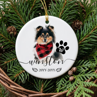 Ornamento De Cerâmica Retrato Personalizado de Cachorro Gato Pet em Aqua