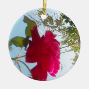 Ornamento De Cerâmica Retrô Grito Hakuna Matata Gift Blue Red SKY