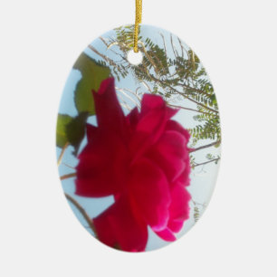 Ornamento De Cerâmica Retrô Grito Hakuna Matata Gift Blue Red SKY