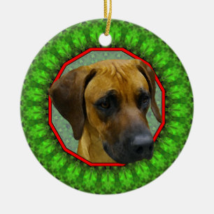 Ornamento De Cerâmica Rhodesian Ridgeback Howliday feliz