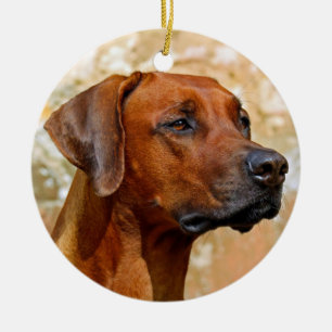 Ornamento De Cerâmica Ridgeback