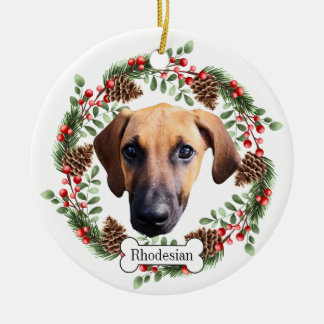 Ornamento De Cerâmica Ridgeback cão da Rodésia