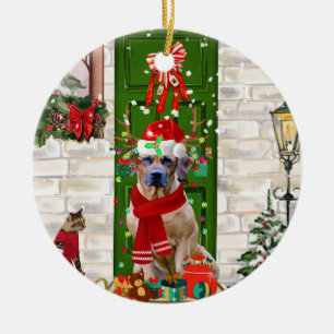 Ornamento De Cerâmica Ridgeback Dog Natal