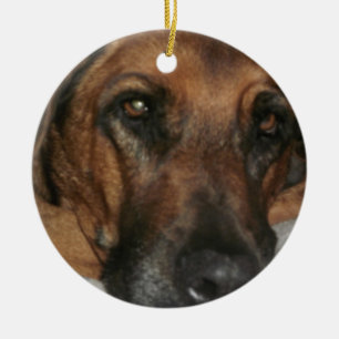 Ornamento De Cerâmica Ridgeback Ornament