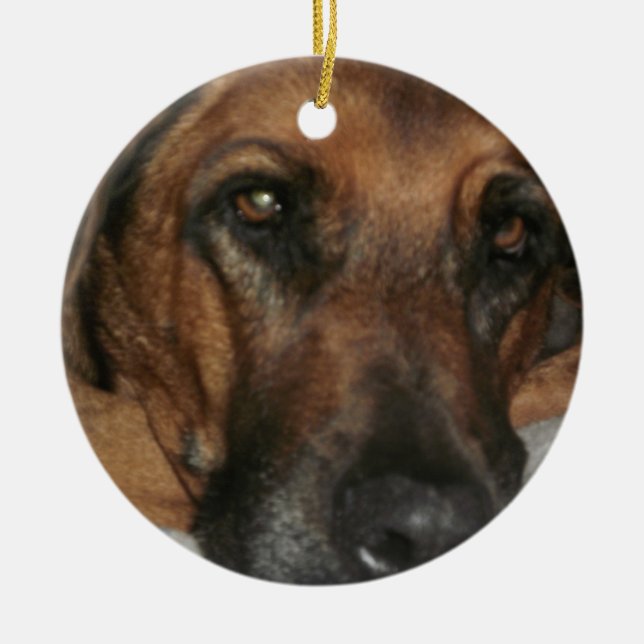Ornamento De Cerâmica Ridgeback Ornament (Frente)