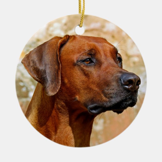 Ornamento De Cerâmica Ridgeback rodesiano (Frente)