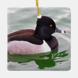 Ornamento De Cerâmica Ring Necked Duck