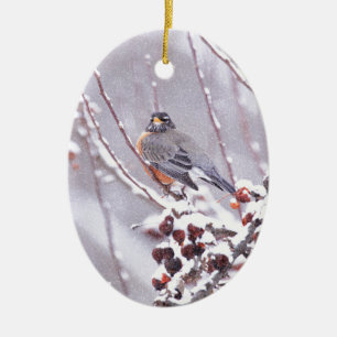 Ornamento De Cerâmica Robin Americano Guerreiro No Inverno
