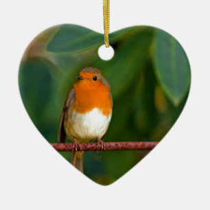 Ornamento De Cerâmica Robin Natal