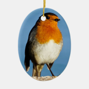 Ornamento De Cerâmica Robin Red-breast para Ornament Oval