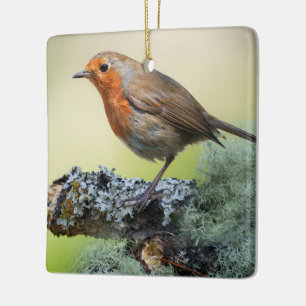 Ornamento De Cerâmica Robin's Woodland Perch
