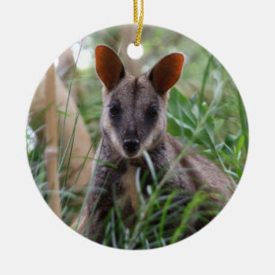 Ornamento De Cerâmica Rock Wallaby Ornament