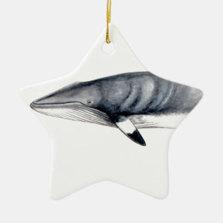 Ornamento De Cerâmica Rorcual aliblanco adorno navideño- Minke whale