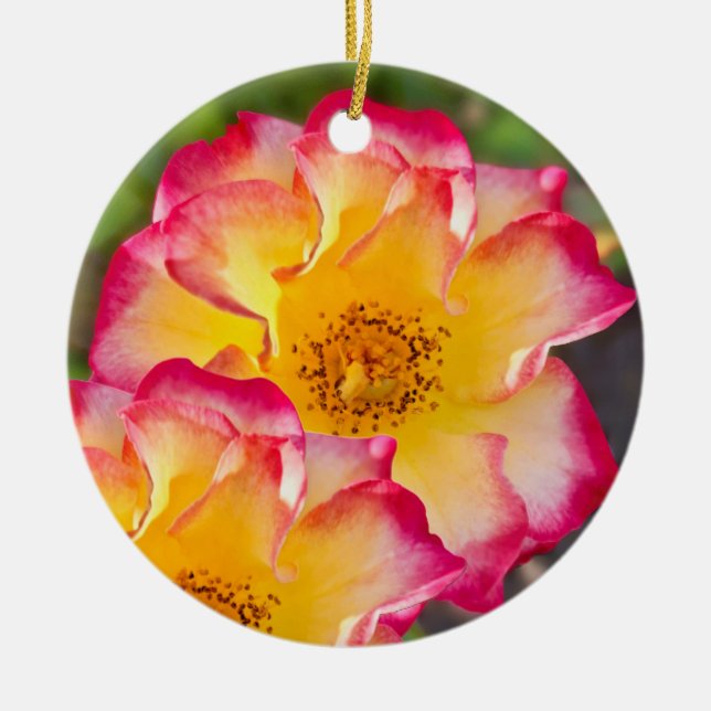 Ornamento De Cerâmica Rosa Amarela Rosa (Frente)
