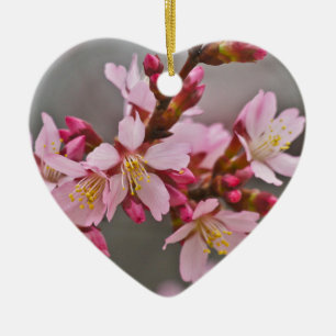 Ornamento De Cerâmica Rosa Contra Um Céu Cinza Flor de Cerejeira Japones