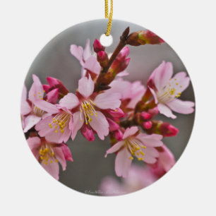 Ornamento De Cerâmica Rosa Contra Uma Cinza Céu Japonês Blossomas De Cer