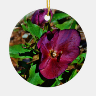 Ornamento De Cerâmica Rosa de Lenten Rosa Burgundy
