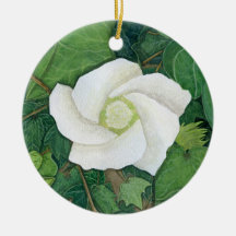 Rosa Delta