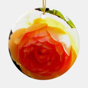 Ornamento De Cerâmica Rosa floral de damasqueiro amarelo-esguicho