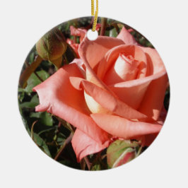 Ornamento De Cerâmica Rosa Rosa Cor-de-Pêssego