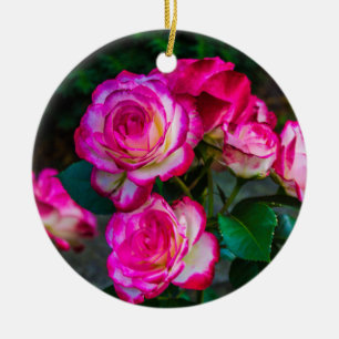 Ornamento De Cerâmica Rosa vermelha Garden