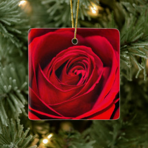 Ornamento De Cerâmica Rosa vermelha romântica na floração do cheio
