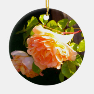 Ornamento De Cerâmica Rosas de Pêssego do País