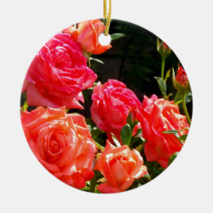 Ornamento De Cerâmica Rosas florais cor-de-laranja-rosa Elegante