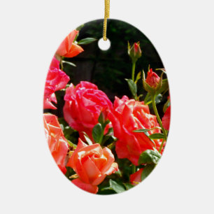 Ornamento De Cerâmica Rosas florais cor-de-laranja-rosa Elegante