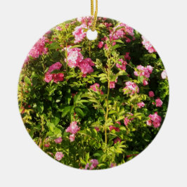 Ornamento De Cerâmica Rosas rosa na floração