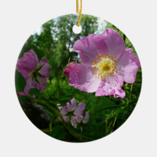 Ornamento De Cerâmica Rosas Rosa Selvagens no Alasca