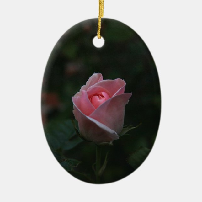 Ornamento De Cerâmica Rosebud cor-de-rosa (Frente)
