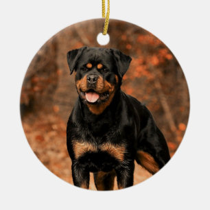 Ornamento De Cerâmica Rottweiler