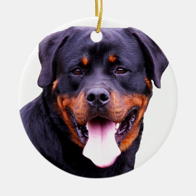 Ornamento De Cerâmica rottweiler (Frente)