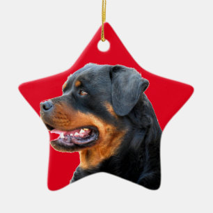 Ornamento De Cerâmica Rottweiler