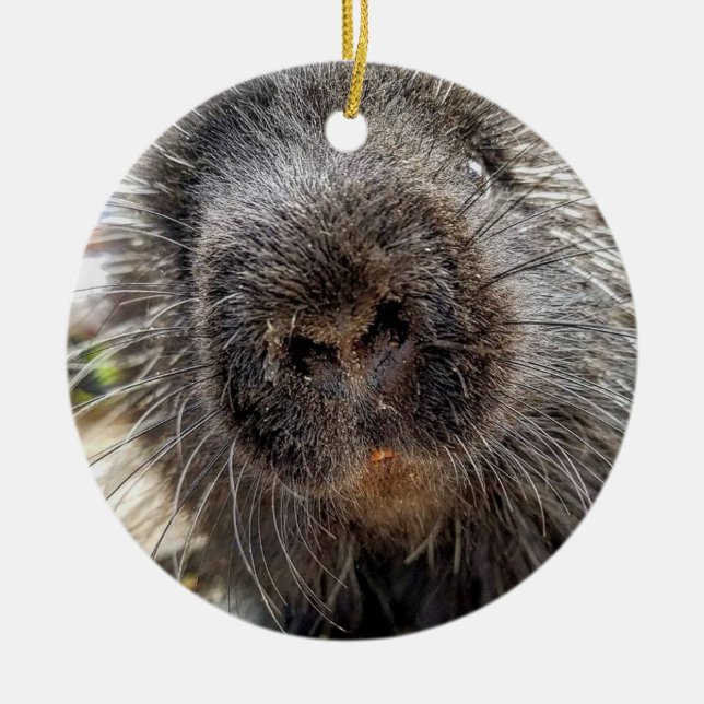 Ornamento De Cerâmica Rox 2016 (Frente)