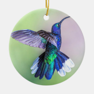 Ornamento De Cerâmica Roxo Hummingbird Voando Monograma Nome